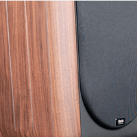 Chario Aviator Cielo variant 4