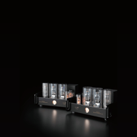 Allnic/ZL Technologies M-2500 variant 6