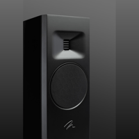 MartinLogan Motion F20 variant 42