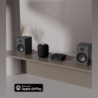 Arylic LA50 Streaming Amplifier variant 6