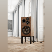 Revival Audio ATALANTE 7 Évo variant 2