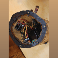 TIKI TUBE AMPS Isaac variant 5