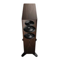 Dynaudio Focus 30 variant 14