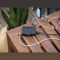 Chord Electronics Mojo 2 variant 7