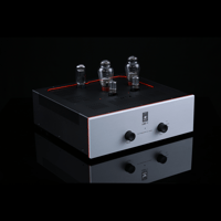 SW1x AMP V “Titan” Integrated Amplifier variant 6