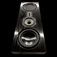 Legacy Audio Silhouette On Wall variant 5