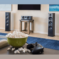 Polk Audio T50 variant 5