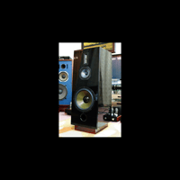 ThivanLabs X VERSION variant 1