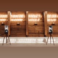 Buchardt Audio Anniversary 10 variant 36