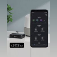 Arylic LP10 AirPlay 2 and Google Cast Music Streamer variant 7