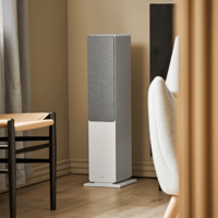 Argon Audio FORTE A55 WIFI variant 24