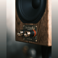 Buchardt Audio E50 variant 24