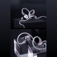 FiiO LC-RB variant 11