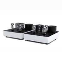 Fezz Audio Olympia Mono Power Amplifier variant 21