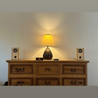 Blumenstein Audio Marlin 3" Studio Monitors variant 2