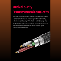 FiiO USB square port to Type-C adapter variant 3
