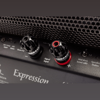 MartinLogan Expression  ESL 13A variant 33