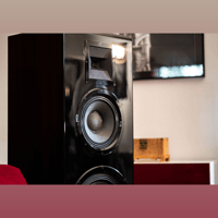 Daniel Hertz Bi-amplified M1 variant 13