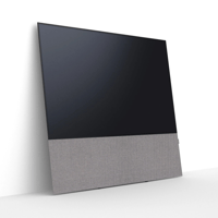 Canvas CANVAS front 65 variant 21