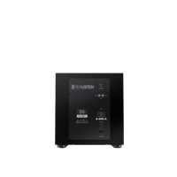 Perlisten R12s variant 5