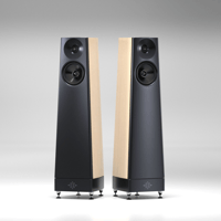 YG Acoustics Talus variant 1