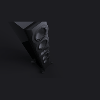 Perlisten R7t variant 4