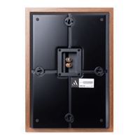 Argon Audio FORUS 5 WALL variant 6