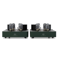Fezz Audio Olympia Mono Power Amplifier variant 13