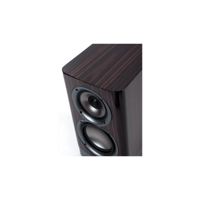 ELAC ARB51 variant 12