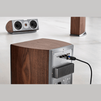 Audiovector R Sub variant 13