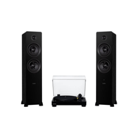 Fluance RT80 Classic High Fidelity Vinyl Turntable with Ai81 Elite Powered 2-Way Floorstanding Tower Speakers variant 1