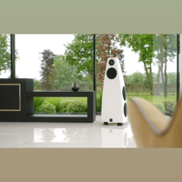 Meridian DSP9 variant 7