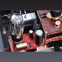 SW1x DAC X variant 12