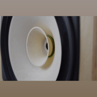 Blumenstein Audio Cain & Cain Abby II 6.5" Monitors variant 5