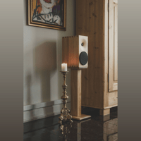 Buchardt Audio E50 variant 18