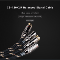 Cayin CS-120XLR variant 1