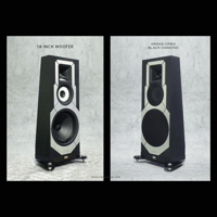 ThivanLabs GRAND OPEN – BLACK DIAMOND variant 1