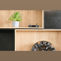 Spottune Stream variant 3