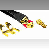 Tara Labs Apollo Extreme variant 2