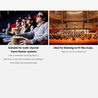 Cayin T30 MK2 variant 7