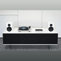 Pro-ject Audio Systems - USA Hard Rock Café Turntable variant 3