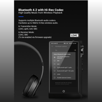 Cayin N6ii variant 14