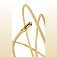 Van den Hul The Name variant 1