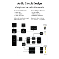Cayin N3Pro variant 13