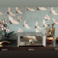 Wells Audio Majestic II variant 1
