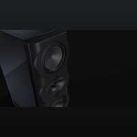 Perlisten R5m variant 7