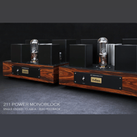 ThivanLabs 211 POWER MONOBLOCK variant 9