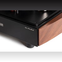 Mastersound Monoblock 845 (pair) variant 6