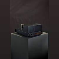 Lamm Industries ML3 Signature Amplifier variant 3