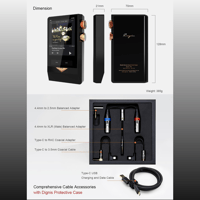 Cayin N8 Brass Black variant 13